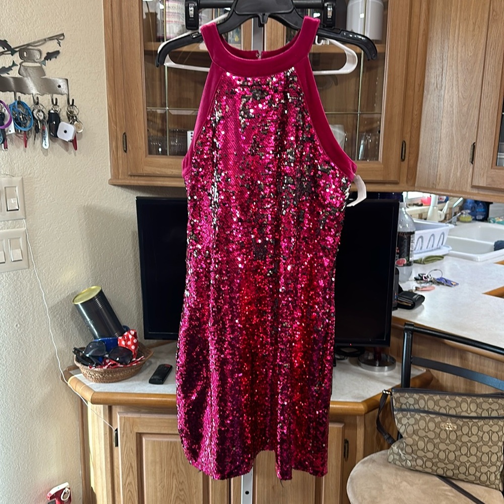 Sam Edelman Pink Sequin Dress